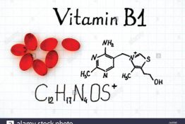 BỔ SUNG VITAMIN B1 CHO VẬT NUÔI