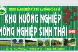 KHU HƯỚNG NGHIỆP NÔNG NGHIỆP SINH THÁI  “THẢO NGUYÊN XANH GIỮA LÒNG HÀ NỘI”