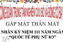 CÔNG ĐOÀN TRUNG TÂM NGHIÊN CỨU BÒ VÀ ĐỒNG CỎ BA VÌ GẶP MẶT THÂN MẬT NGÀY QUỐC TẾ PHỤ NỮ MỒNG 8 THÁNG 3